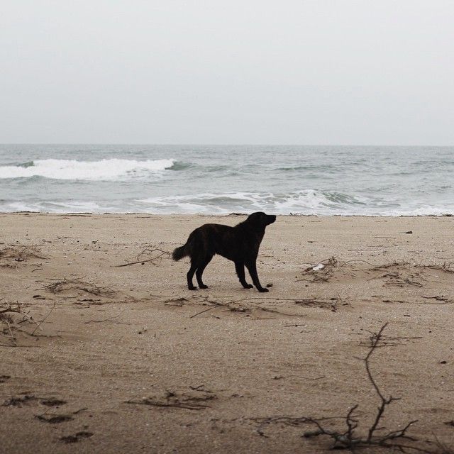 Photograph by Ahmet Bugra Avcilar